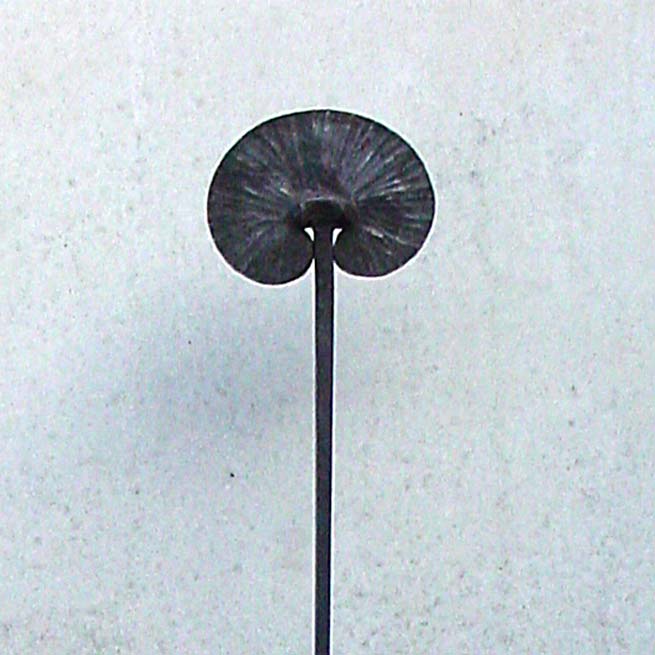 Gartenskulptur Pfau aus Bronze